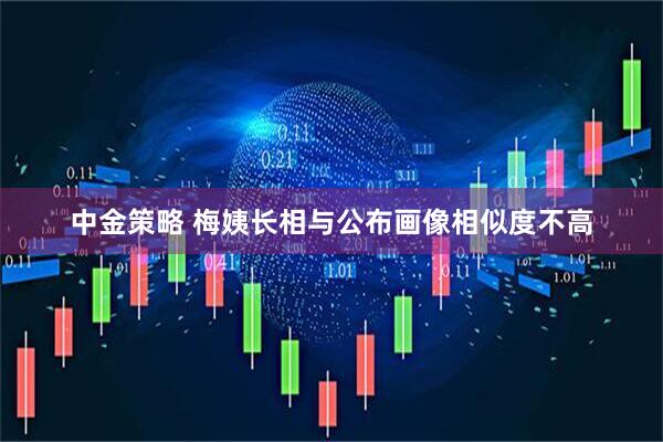 中金策略 梅姨长相与公布画像相似度不高