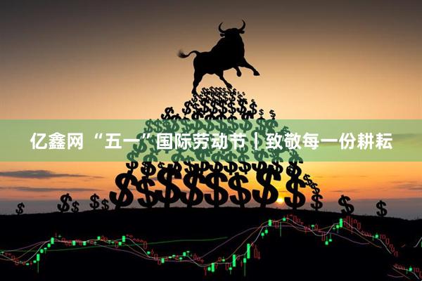 亿鑫网 “五一”国际劳动节｜致敬每一份耕耘