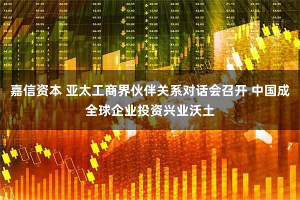 嘉信资本 亚太工商界伙伴关系对话会召开 中国成全球企业投资兴业沃土