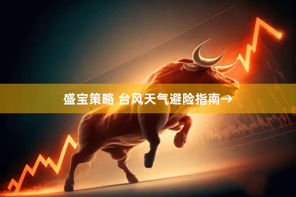 盛宝策略 台风天气避险指南→